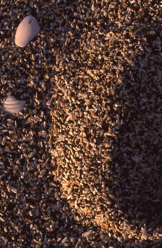 WT 0200 029-21 New Zealand.jpg